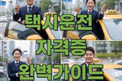 택시운전 자격증 취득방법 총정리 – 조건부터 재발급까지 한눈에