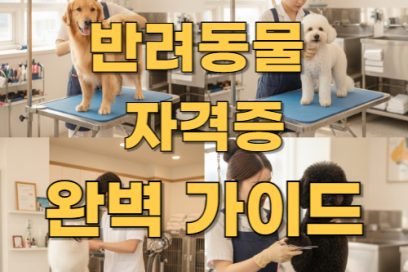 반려 동물 자격증 종류 및 취득방법 총정리! 어떤 자격증이 있을까?