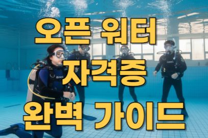 오픈 워터 자격증 종류별 특징과 취득방법 완전정리