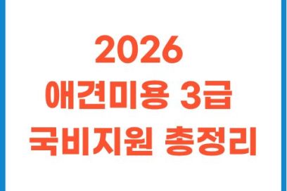 2026 애견미용자격증 3급 취득 방법: 국비지원 조건부터 커리큘럼 비교까지